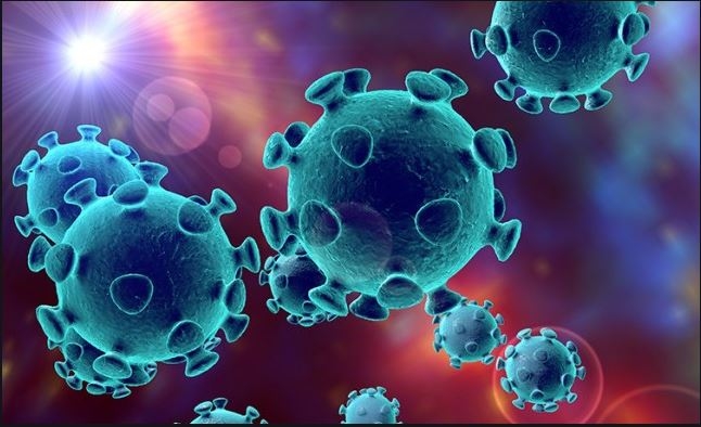 yeni koronavirus enfeksiyonu covid 19 prof dr teoman dal kbb uzmani